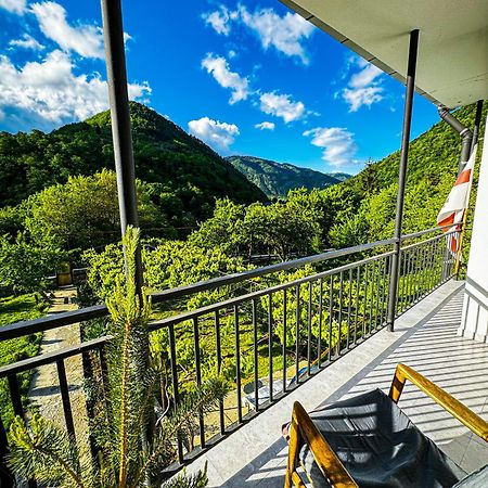 Family Hotel Mountain Panorama 博尔若米 外观 照片
