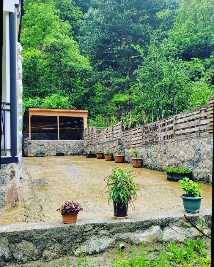 Family Hotel Mountain Panorama 博尔若米 外观 照片