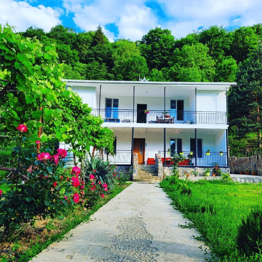 Family Hotel Mountain Panorama 博尔若米 外观 照片