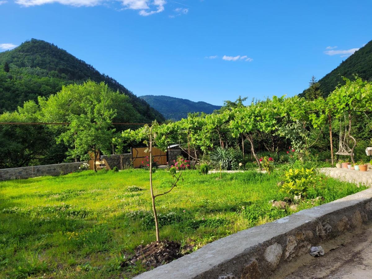 Family Hotel Mountain Panorama 博尔若米 外观 照片