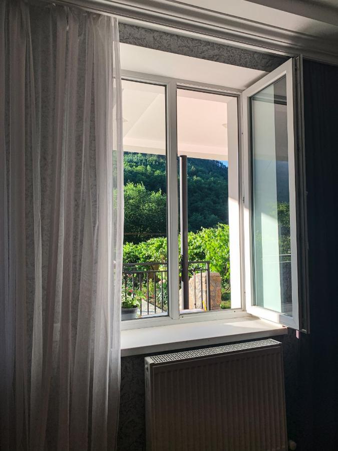 Family Hotel Mountain Panorama 博尔若米 外观 照片