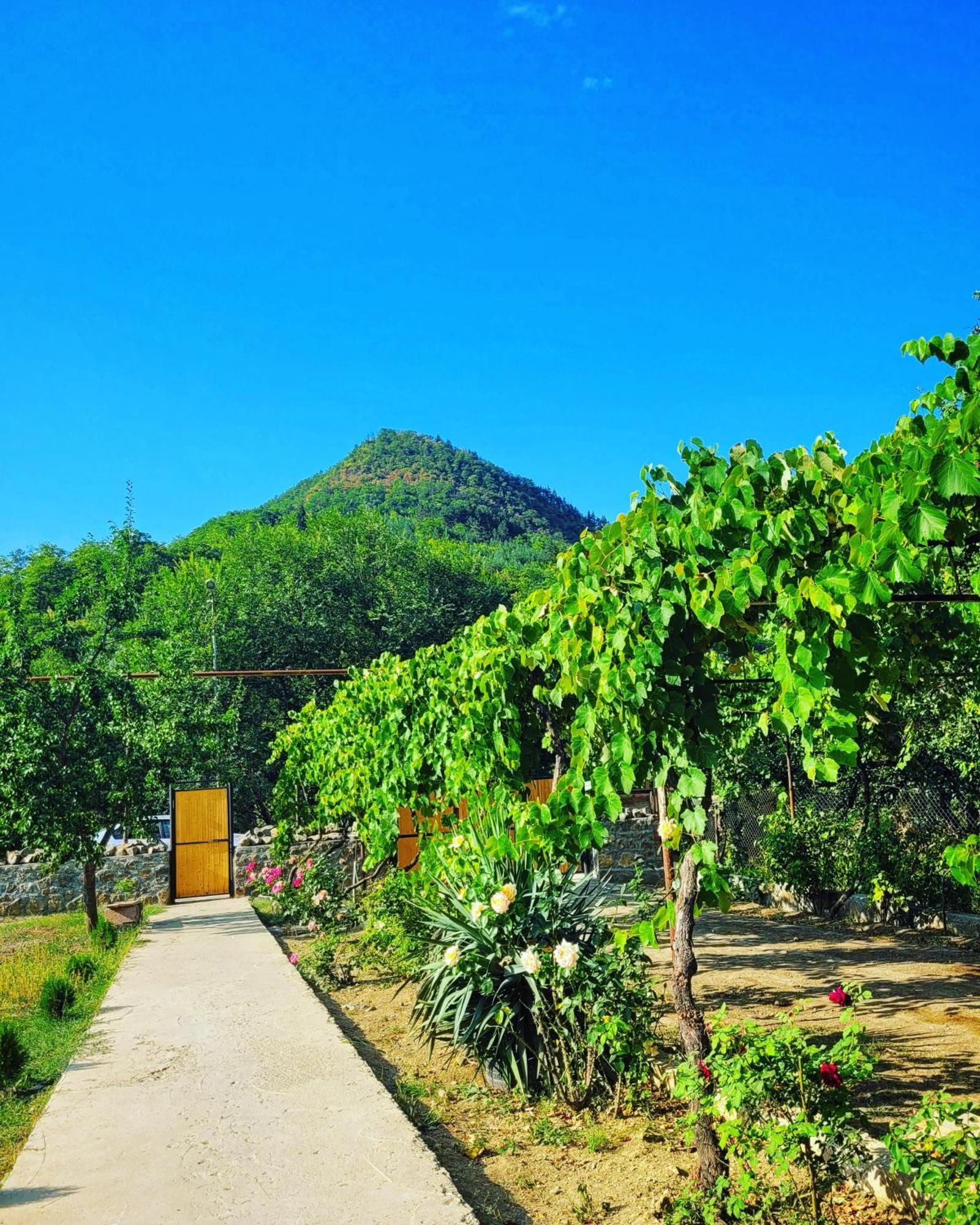Family Hotel Mountain Panorama 博尔若米 外观 照片