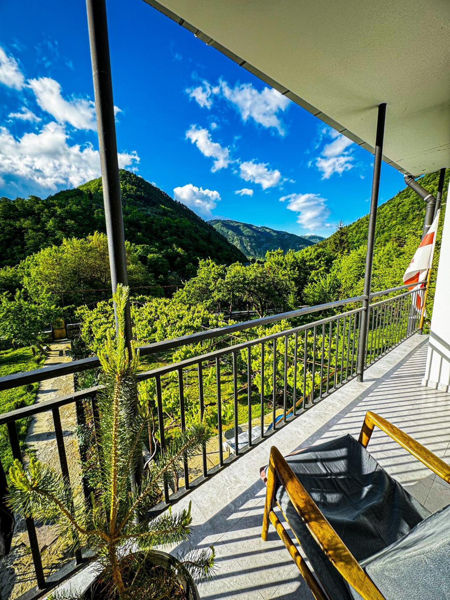 Family Hotel Mountain Panorama 博尔若米 外观 照片