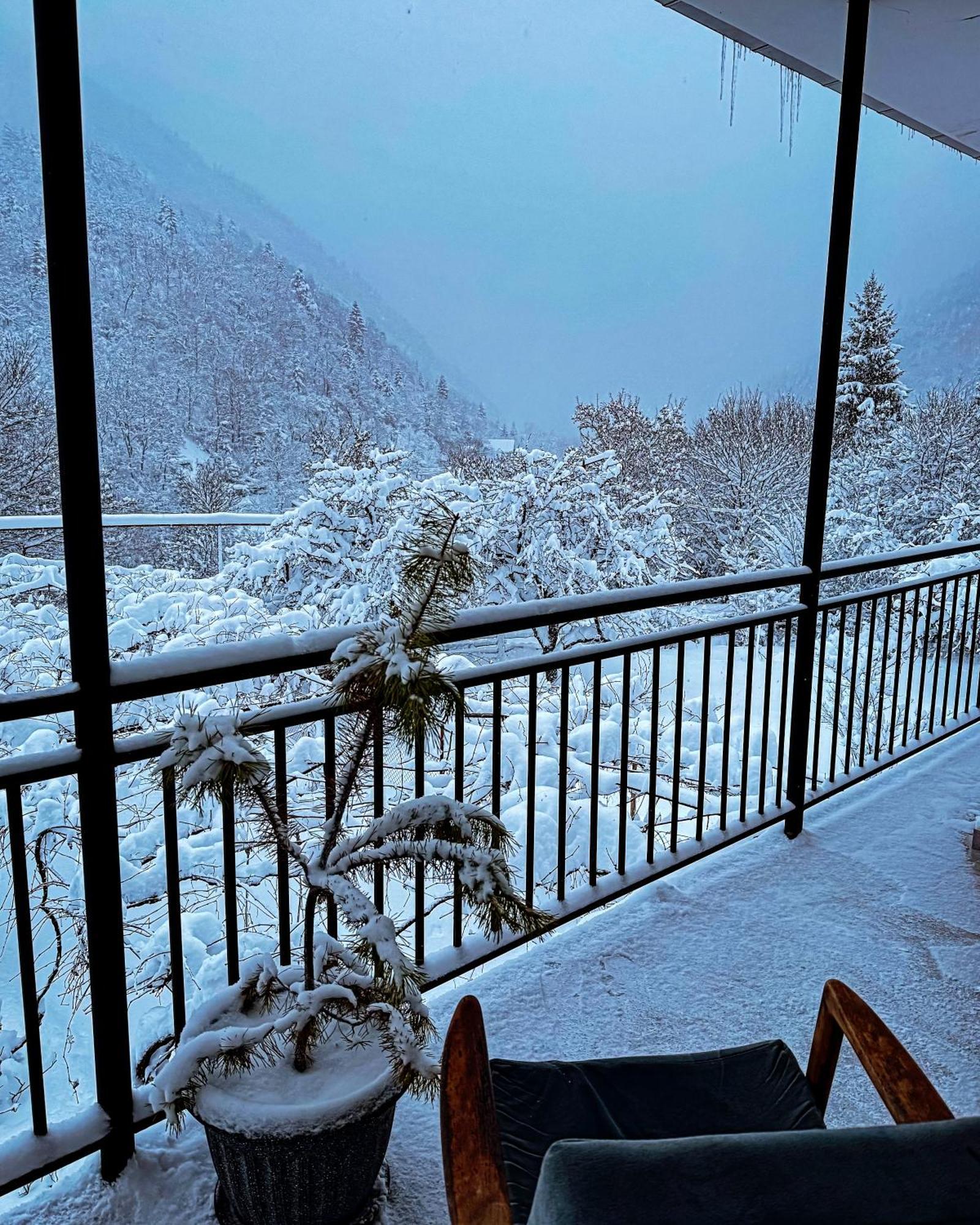 Family Hotel Mountain Panorama 博尔若米 外观 照片